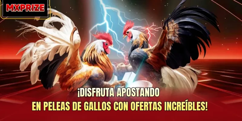 ¡Disfruta apostando en peleas de gallos con ofertas increíbles! ¡Disfruta apostando en peleas de gallos con ofertas increíbles!