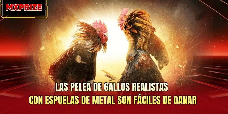 Las pelea de gallos realistas con espuelas de metal son fáciles de ganar